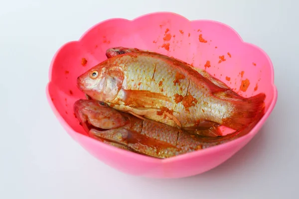 Red Nile Tilapia Red Tilapia Oreochromis Niloticus Φρέσκα Ψάρια Πουρέ — Φωτογραφία Αρχείου