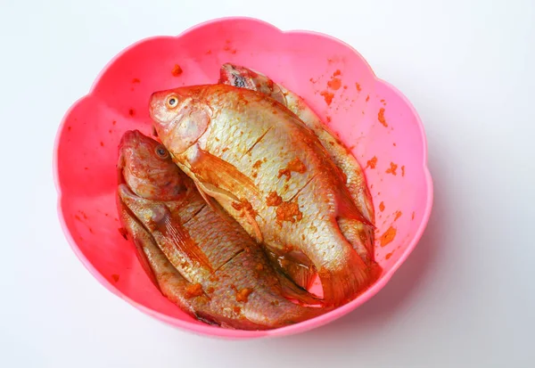 Red Nile Tilapia Red Tilapia Eller Oreochromis Niloticus Färsk Fisk — Stockfoto