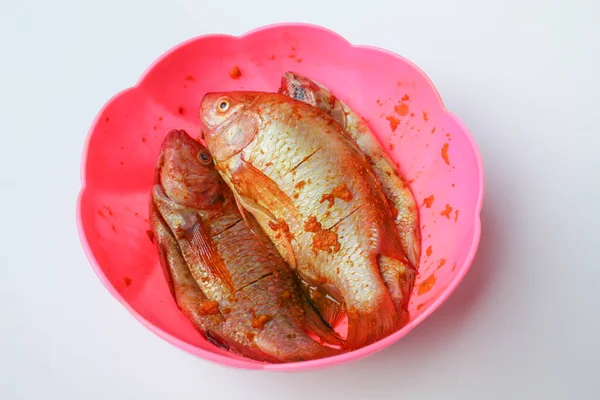 Red Nile Tilapia Red Tilapia Oreochromis Niloticus Φρέσκα Ψάρια Πουρέ — Φωτογραφία Αρχείου