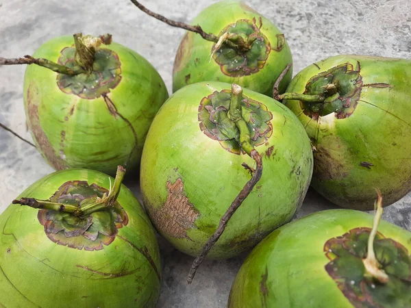 Noix Coco Verte Entière Jeune Noix Coco Sur Sol Vue — Photo