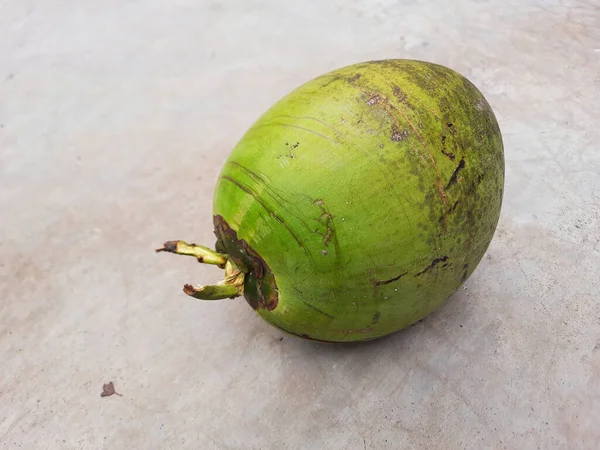 지상에 코코넛 나어린 코코넛은 위에서 바라봅니다 — 스톡 사진