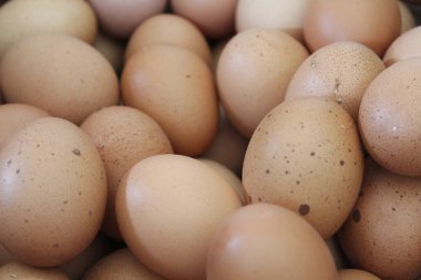 Tahta bir kutuda bir kutu tavuk yumurtası.