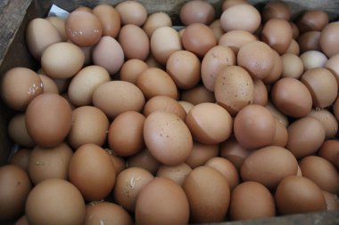 Tahta bir kutuda bir kutu tavuk yumurtası.