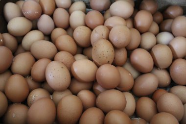 Tahta bir kutuda bir kutu tavuk yumurtası.