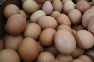 Tahta bir kutuda bir kutu tavuk yumurtası.