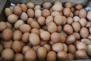 Tahta bir kutuda bir kutu tavuk yumurtası.