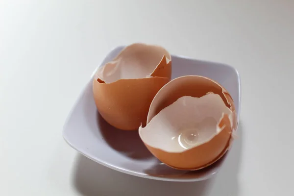 Chicken egg shell, on a white plate