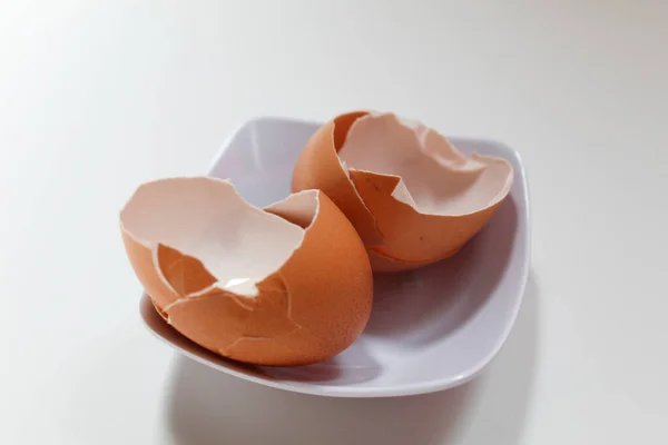 Tavuk Yumurtası Kabuğu Beyaz Tabakta Telifsiz Stok Imajlar