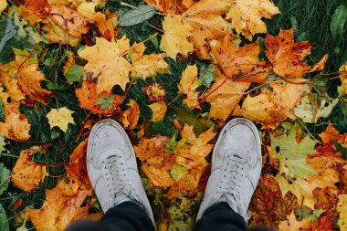 Çizmeli üst manzara ayaklar yağmurdan sonra ıslak sonbahar yaprakları üzerinde duruyor. Yağmurlu sonbahar havası, merhaba Ekim konsepti.