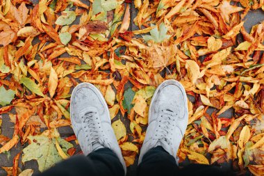 Yağmurlu sonbahar havası, merhaba Ekim konsepti. Çizmeli ayaklar, düşen sonbahar renklerinde yağmurdan sonra ıslak yapraklar üzerinde duruyor..