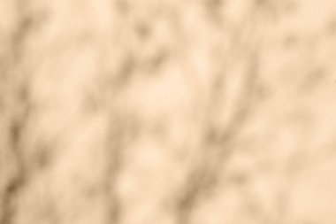 Açık sarı pastel renkte dalların yumuşak gölgesi açık havada duvar dokusuna bürünmüş. Güneşli bir günde duvar yüzeyinde yeşillik silueti, metin alanınız için dekoratif arkaplan.