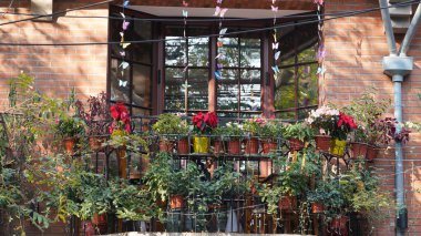 Eski ve güzel binalar, sonbaharda Çin 'in Şangay' ında sıcak güneş ışığı ve gölgeleriyle görülür.