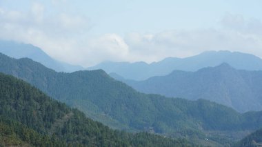 Bu güzel dağlar, güney Çin 'deki yeşil orman ve çiçek tarlalarıyla manzaralıdır.