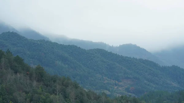 Krásný Výhled Hory Zeleným Lesem Květinovým Polem Krajině Jižní Číny — Stock fotografie