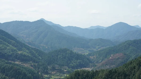 中国南部の田園地帯に緑の森と花畑が広がる美しい山の景色 — ストック写真