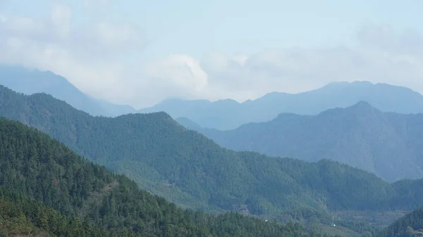 Красивый Вид Горы Зеленым Лесом Цветочным Полем Сельской Местности Южного — стоковое фото