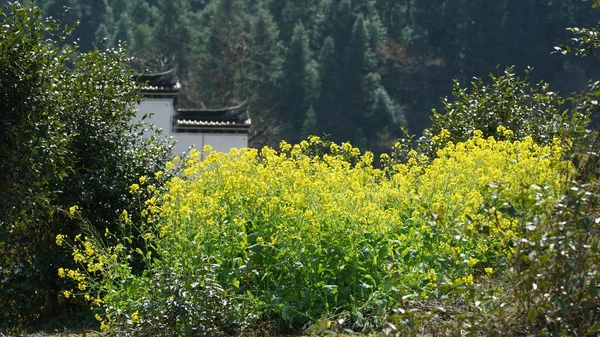 Vue Magnifique Ancienne Sur Village Chinois Traditionnel Avec Les Montagnes — Photo