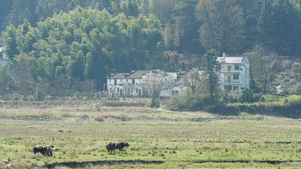 中国南部の田舎に位置し それの周りの山々と美しく 古い中国の伝統的な村の景色 — ストック写真