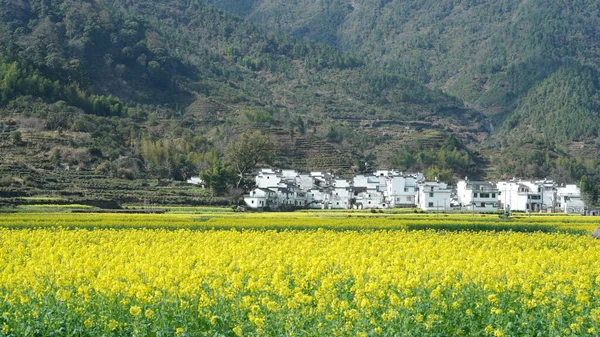 中国南部の田舎に位置し それの周りの山々と美しく 古い中国の伝統的な村の景色 — ストック写真