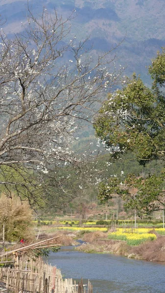 Hermosa Antigua Vista Tradicional Del Pueblo Chino Con Las Montañas — Foto de Stock