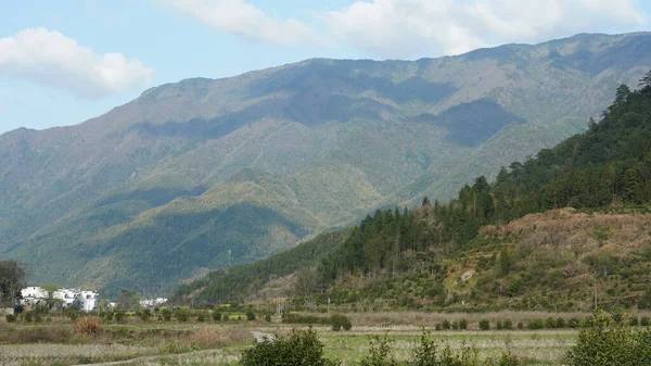 Het Prachtige Uitzicht Bergen Met Het Groene Bos Het Bloemenveld — Stockfoto