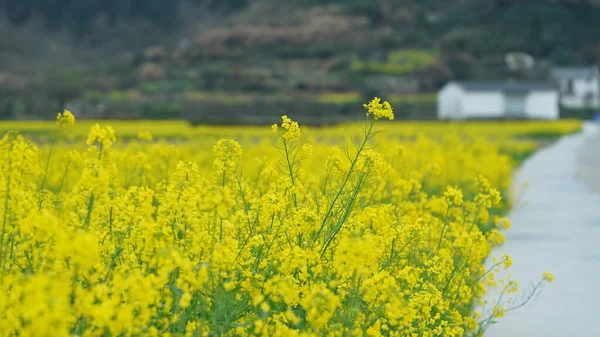 Beautiful Old Traditional Chinese Village View Mountains Located Countryside Southern — Foto Stock