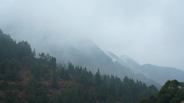 Güzel dağlar yeşil ormanı ve bulutları görüyor. Güney Çin 'in kırsal kesimlerinde yağmurlu bir günde onlardan yükselen bulutlar.