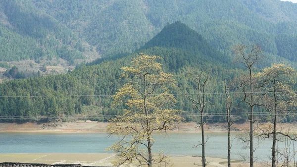 Güzel Dağlar Baharda Çin Güneyindeki Kırsal Kesimde Taze Yeşil Ormanlarla — Stok fotoğraf