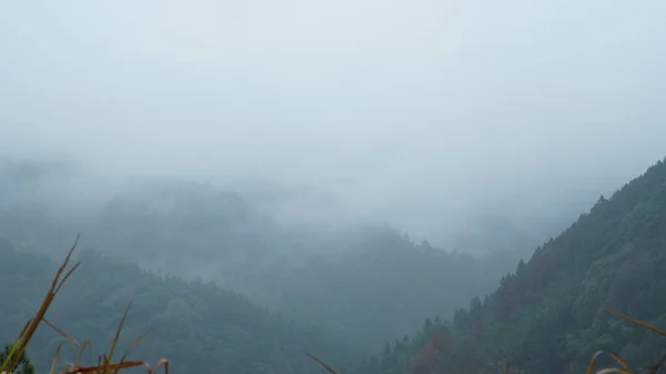 아름다운 산들이 구름으로 뒤덮여 지방의 시골에서 비오는 — 스톡 사진