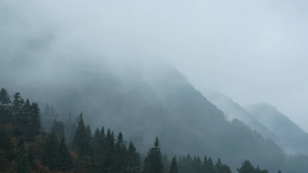 Beautiful Mountains View Green Forest Clouds Rising Them Rainy Day — 图库照片