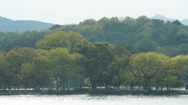 Baharda Çin 'in Hangzhou şehrindeki güzel göl manzaraları. Huzurlu göl ve taze yeşil dağlar.