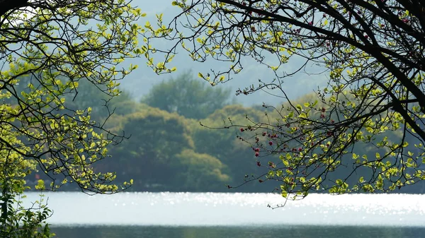 Gyönyörű Tavi Tájak Hangzhou Város Kína Tavasszal Békés Friss Zöld — Stock Fotó