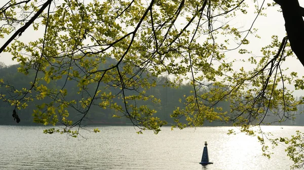 Belas Paisagens Lago Cidade Hangzhou China Primavera Com Pôr Sol — Fotografia de Stock