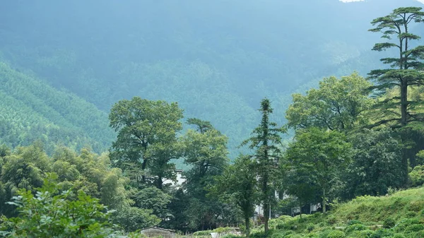 Het Prachtige Uitzicht Het Platteland Met Waterval Die Bergen Stroomt — Stockfoto