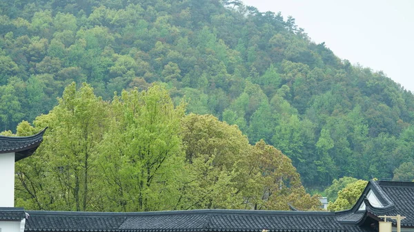 Красиве Традиційне Китайське Село Виглядає Класичною Архітектурою Свіжими Зеленими Деревами — стокове фото