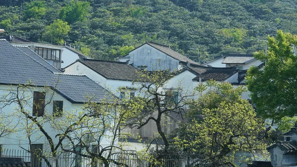 Geleneksel Çin Köyü Manzarası Klasik Mimari Taze Yeşil Ağaçlar Baharda — Stok fotoğraf
