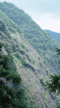 Yeşil ormanı olan güzel dağlar ve Çin kırsalının arka planında küçük bir köy.