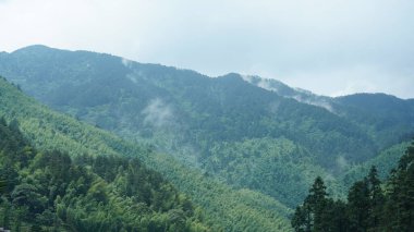 Yeşil ormanı olan güzel dağlar ve Çin kırsalının arka planında küçük bir köy.