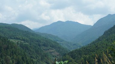 Yeşil ormanı olan güzel dağlar ve Çin kırsalının arka planında küçük bir köy.