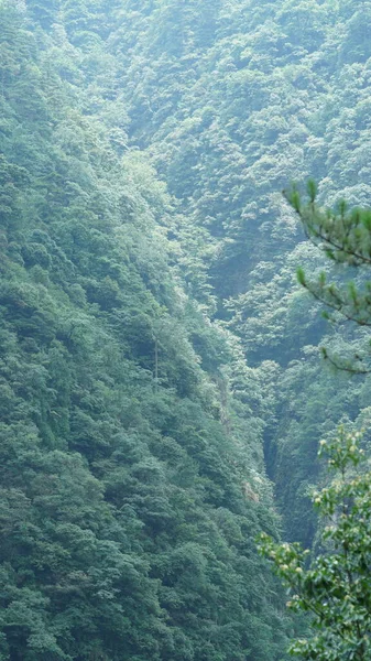 Los Hermosos Paisajes Montañosos Con Bosque Verde Pequeño Pueblo Como —  Fotos de Stock