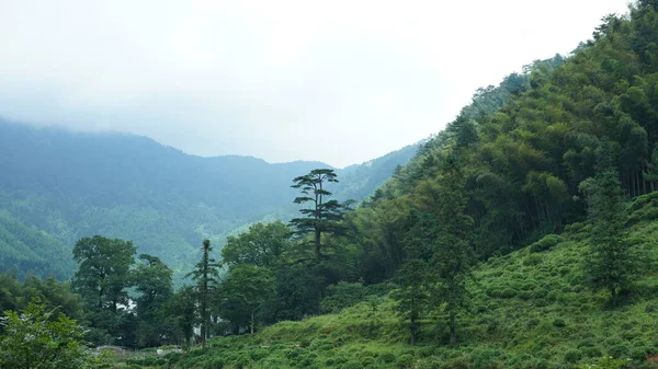 Bellissimi Paesaggi Montani Con Foresta Verde Piccolo Villaggio Sullo Sfondo — Foto Stock