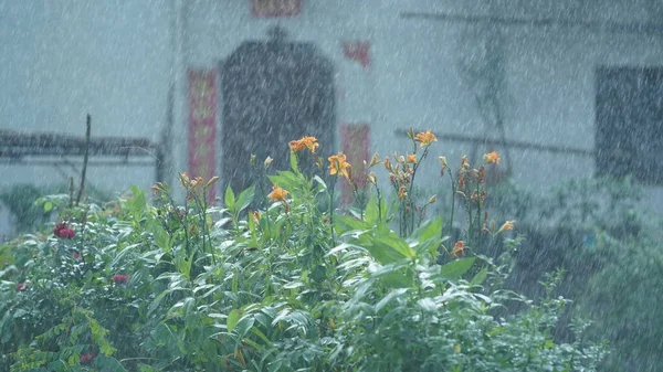 Vista Chuvosa Pesada Com Gotas Chuvosas Campo China Verão — Fotografia de Stock