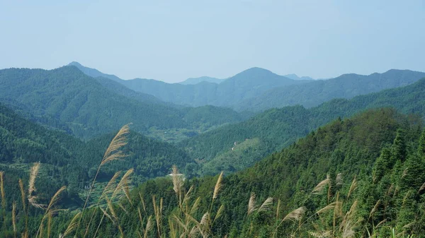 Les Beaux Paysages Montagnes Avec Forêt Verte Petit Village Comme — Photo