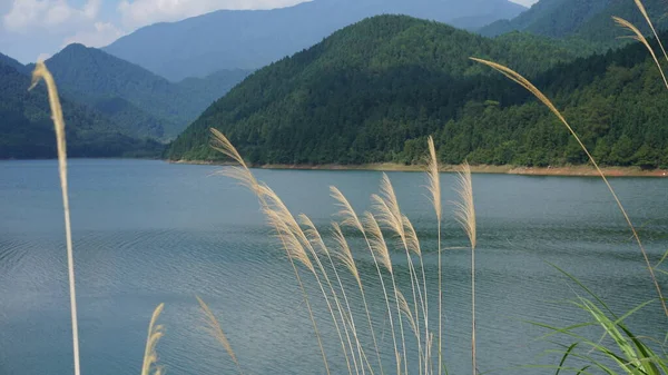 Çin 'in kırsal kesimindeki yeşil dağlarla çevrili güzel göl manzaraları.