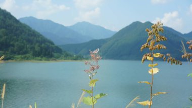 Çin 'in kırsal kesimindeki yeşil dağlarla çevrili güzel göl manzaraları.