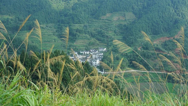 Yeşil Ormanı Olan Güzel Dağlar Çin Kırsalının Arka Planında Küçük — Stok fotoğraf