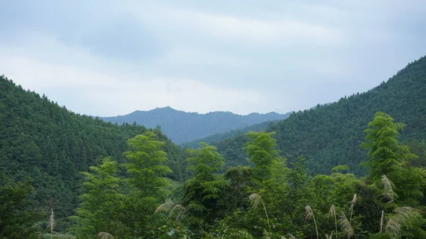 Belas Paisagens Montanhas Com Floresta Verde Pequena Aldeia Como Pano — Fotografia de Stock