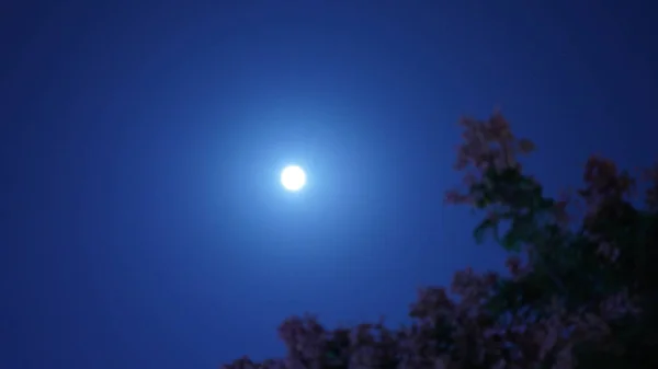 Vista Noche Luna Con Luna Brillante Cielo Oscuro Por Noche —  Fotos de Stock