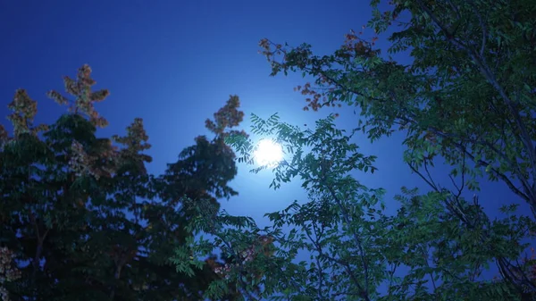 Vista Noche Luna Con Luna Brillante Cielo Oscuro Por Noche —  Fotos de Stock