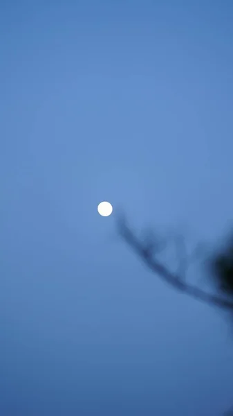 Moon Night View Bright Moon Dark Sky Night — Stock Photo, Image